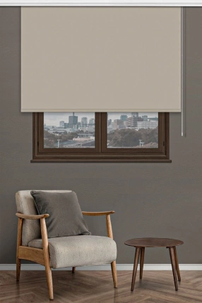 Ecru Matte Roller Blinds 