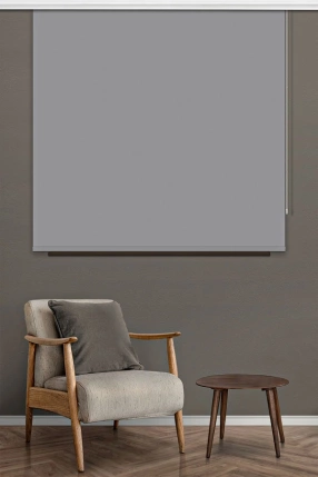 Gray Matte Roller Blinds 