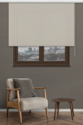 Ecru Sunscreen Roller Blinds 