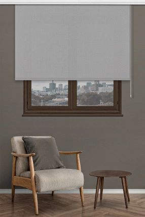 Gray Sunscreen Roller Blinds 