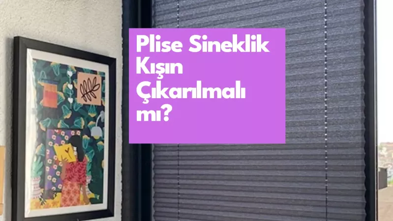 Plise Sineklik Kışın Çıkarılmalı mı?