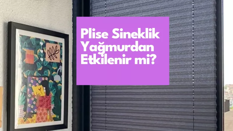 Plise Sineklik Yağmurdan Etkilenir mi?